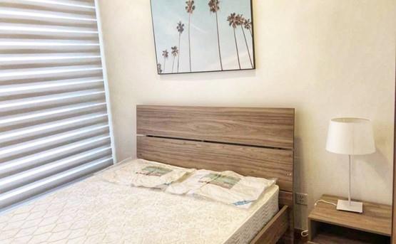 apartment for rent in binh thanh district BT105L401 (3)